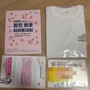 합천불고기 | 2026 합천 벚꽃마라톤 주차·코스·일정 + 2025 10km 완주 후기