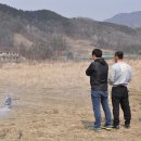 헬리카페 Daum카페