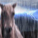 (주)농심 집단급식소 | 라브뜨 처하자