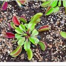 자연생태공원 부천식물원 이미지