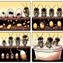 용귀농장 | 도마뱀 먹이인 귀뚜라미 한살이와 급여에 관하여