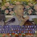 호롤로 이미지
