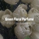 꽃집 생화 향을 담은 그린 플로럴 향수