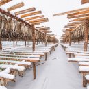 광산초등학교 이미지