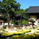 서울 봉은사 2014국화축제 - 선종수사찰 禪宗首寺刹 奉恩寺 이미지