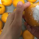 오렌지만물상 네이버블로그