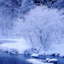 그대그리고나 이미지