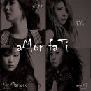 아모르(Amor) 이미지