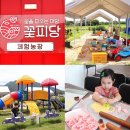 이삐예삐 | 전남 아이와 가볼만한곳 쿠키만들기 예약 정보 영암 꽃피당