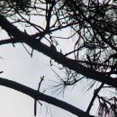 산새체육공원 이미지