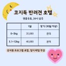 코지독하우스 이미지