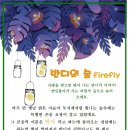 숲속반디 이미지