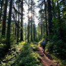 해피안힐링센터임학지점 | [100대 명산] 축령산(장성)