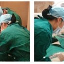 아이엠치과기공소 이미지