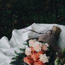 프로포즈신월
