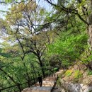 오동수 화장실 이미지