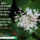 꽃담화원
