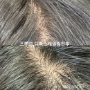 마이린 헤어