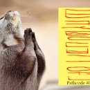 버니PC방 이미지