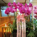 어도일식 이미지