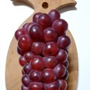 홍주농장 이미지