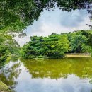 연못 이미지