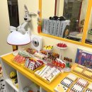 왕왕애견샵 이미지