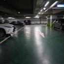 상상아트홀 | 서울 어린이공연 가족뮤지컬 뽀로로와 신비한 여행 KT&amp;G 상상마당 대치아트홀 후기