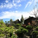 꽃섬나드리 이미지