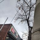 한솥도시락교동점