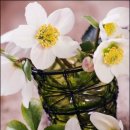 플라워 테라피 이미지