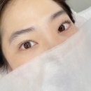 캣츠속눈썹