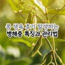 수경반점 | 콩 생육 후기 발생하는 병해충 특징과 관리법