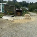 김우정농장 네이버블로그