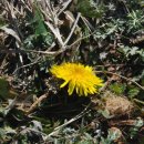 새천년공원길 이미지