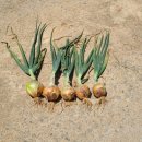 조은에스앤티 이미지