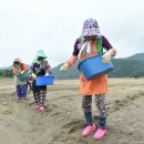 청송화원