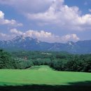 뉴코리아 이미지