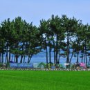 석교리야영장 이미지