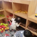 고운얼굴치과의원 이미지