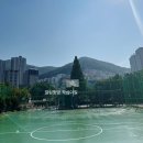 부산시민체육공원농구장 네이버블로그