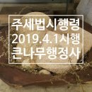 큰나무행정사사무소 이미지