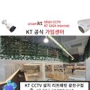 리프패럿광진구