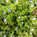 새물공원 이미지