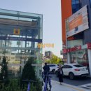 다이소 배명사거리점 이미지