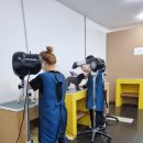 영천애견미용 이미지