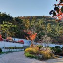 섬바다향기 이미지