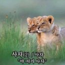 청하조명 - 진주시 남강로 1169-12 | 청하조명