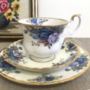 문라이트(Moon Light) 이미지