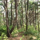 정류장 입구 이미지